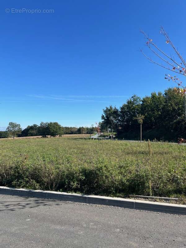 Terrain à CADALEN