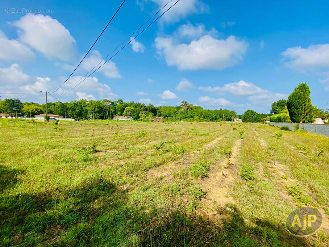Terrain Saint Germain D Esteuil 2200 m2 - photo 2