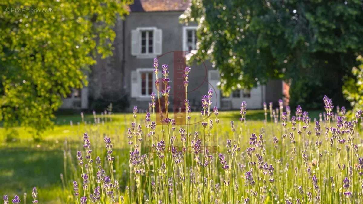 Maison à BOIS-LE-ROI