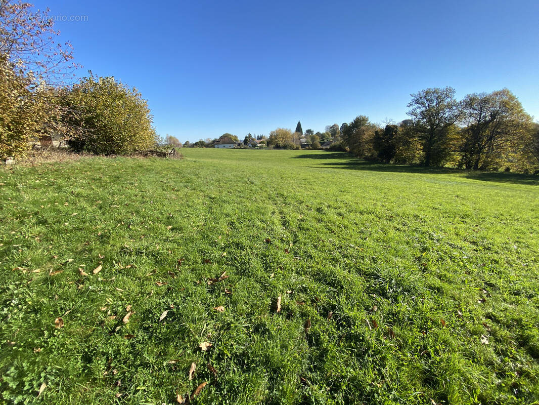 Terrain à SAINTE-FEREOLE