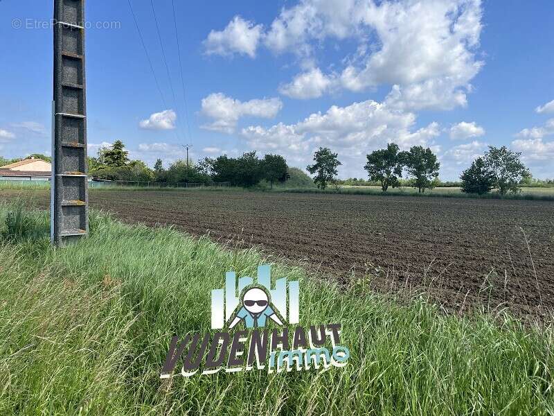 Terrain à MERVILLE
