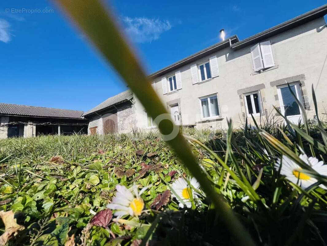 Maison à RANDAN
