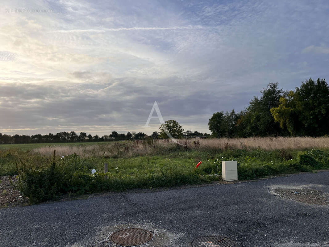 Terrain à LA MENITRE