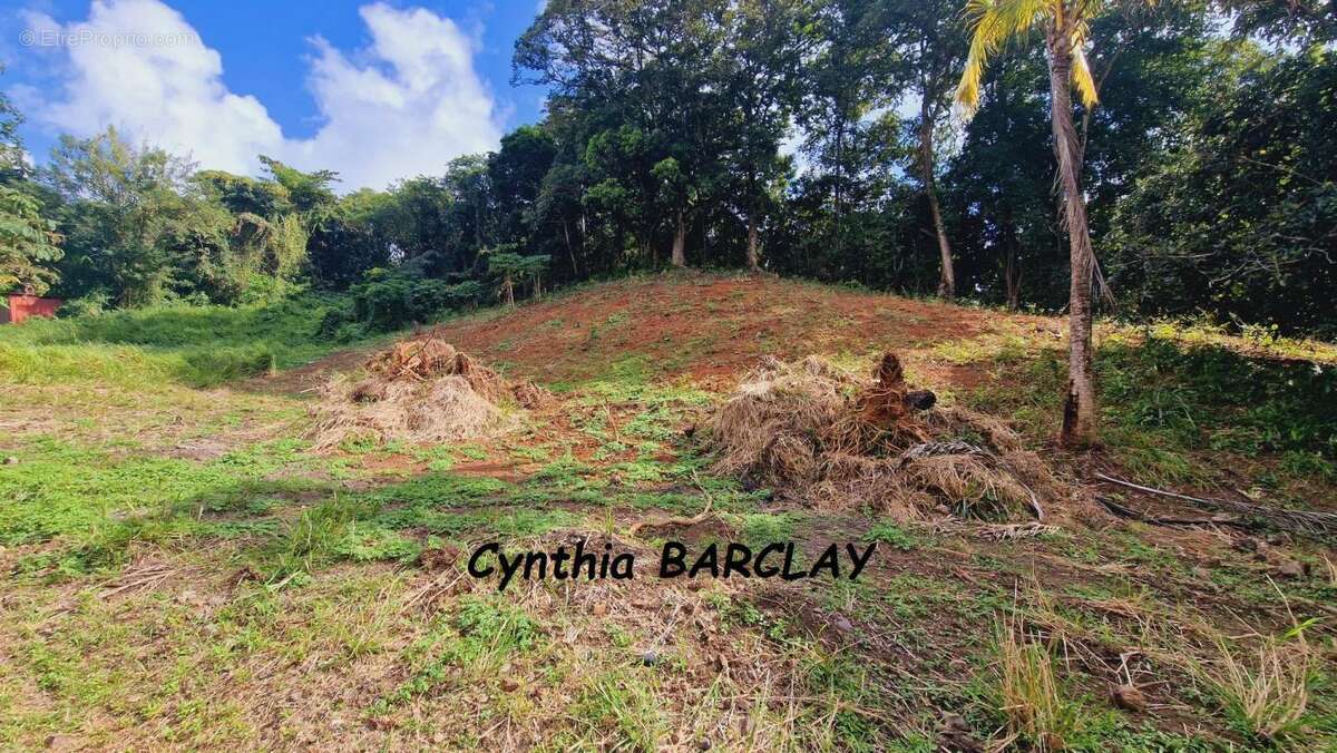 Terrain à LE FRANCOIS