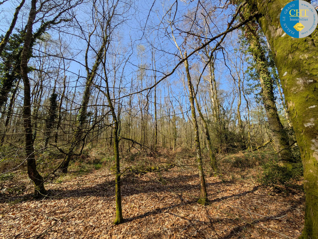 Terrain à CAMPENEAC