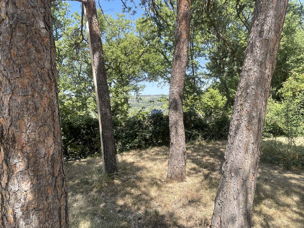 Mirabel aux baronnies / ensemble de 5 chalets sur terrain 3658m, piscine, vue - photo 4