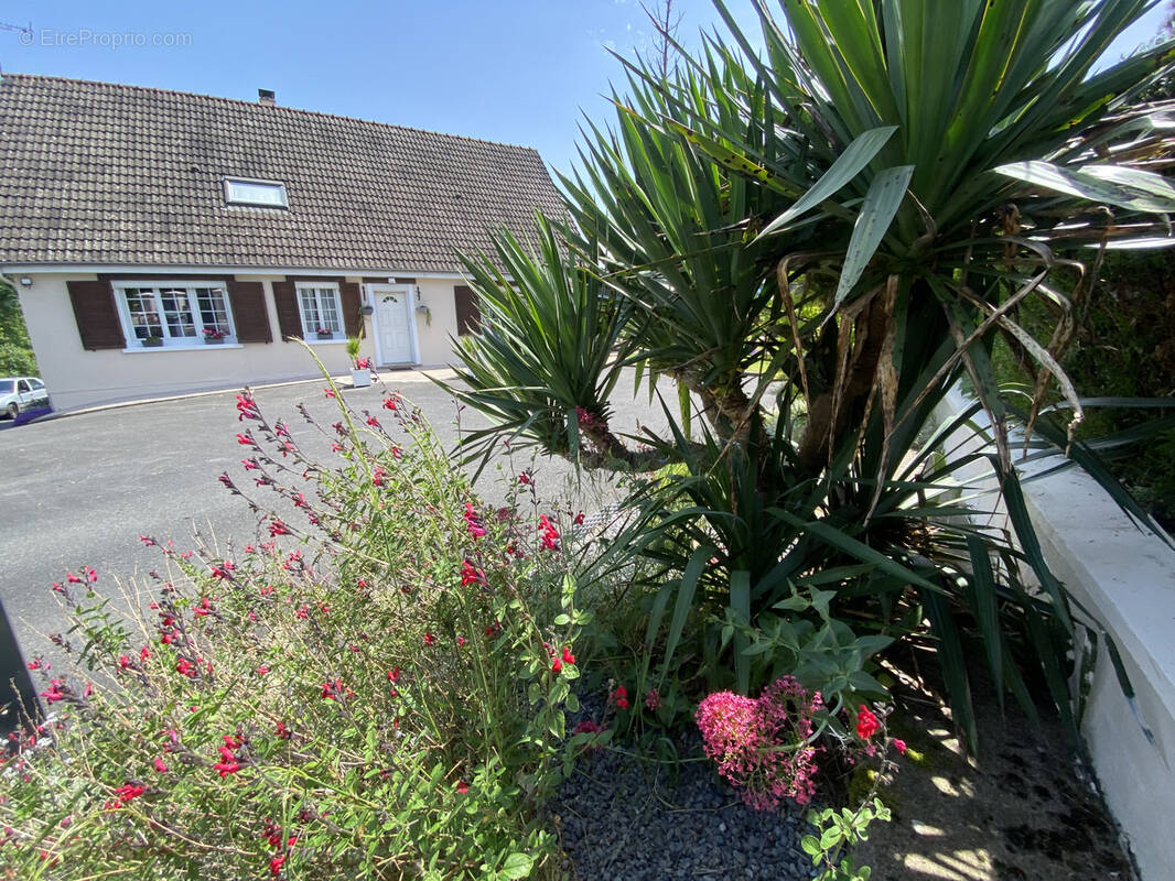 Maison à AUMALE