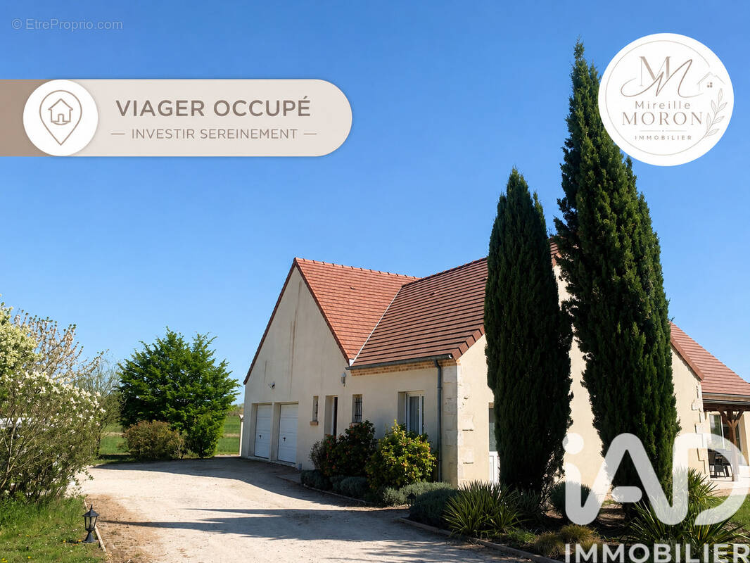 Photo 1 - Maison à SAINT-DENIS-EN-VAL