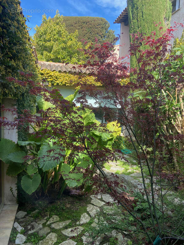 Maison à LA COLLE-SUR-LOUP