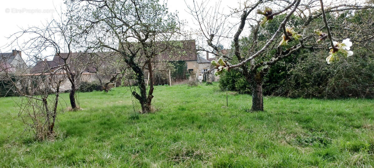 Maison à SAINT-MENOUX