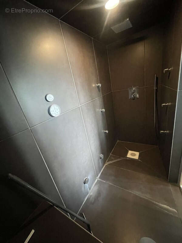 Superbe loft haut de gamme 3 pieces + cuisine en dernier etage avec vue echirolles - photo 19