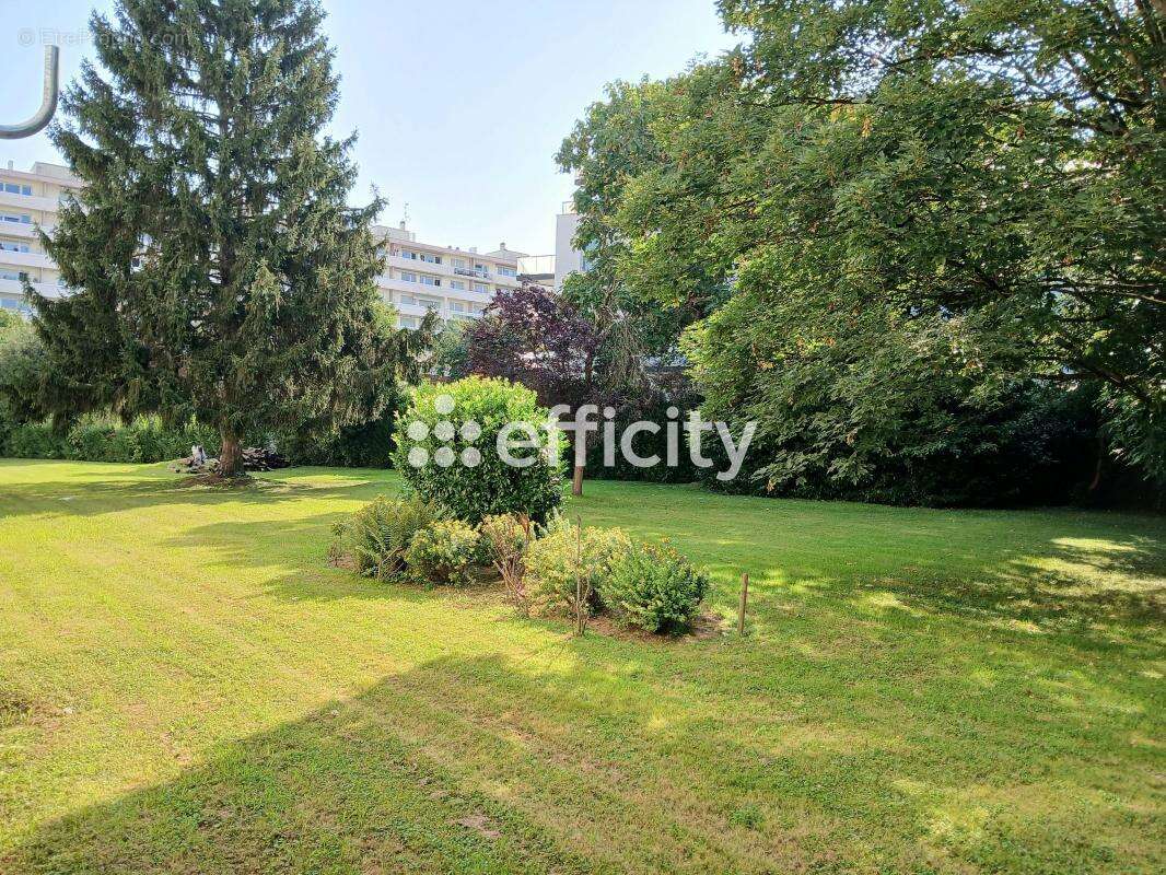 Appartement - photo 6