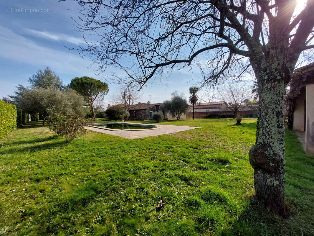 Maison à MARSSAC-SUR-TARN