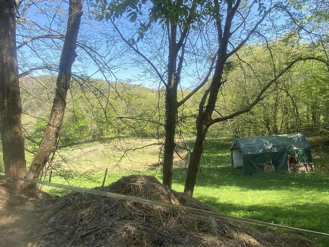 IMG6756 - Maison à LES EYZIES-DE-TAYAC-SIREUIL