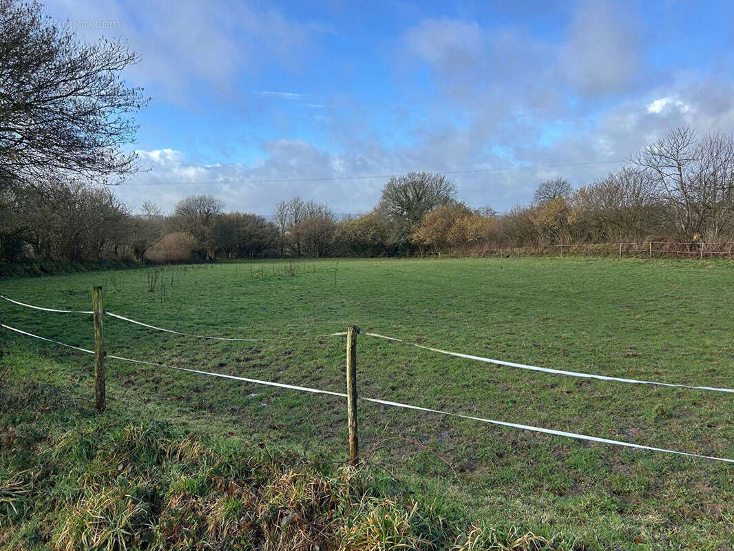 Maison à BELLE-ISLE-EN-TERRE