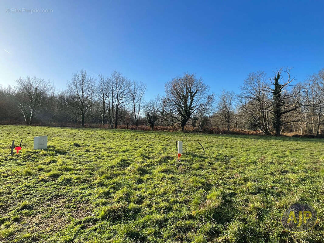 Terrain à CHALLANS