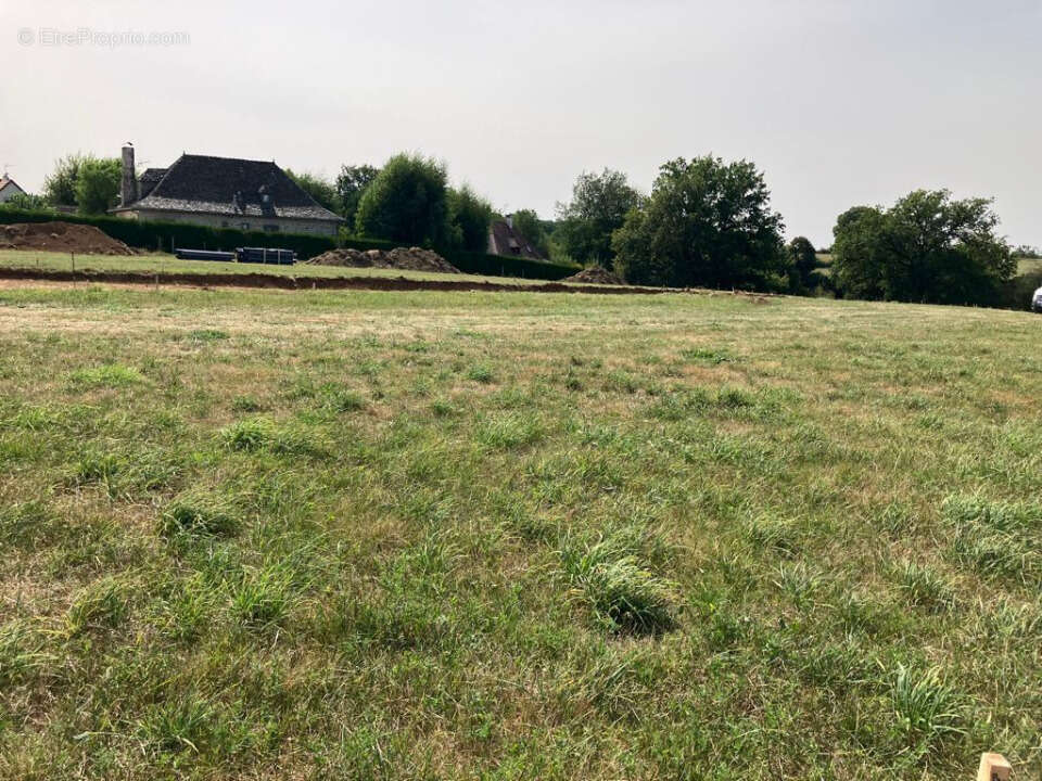 Terrain 932 m² à Arpajon-Sur-Cere  - photo 4