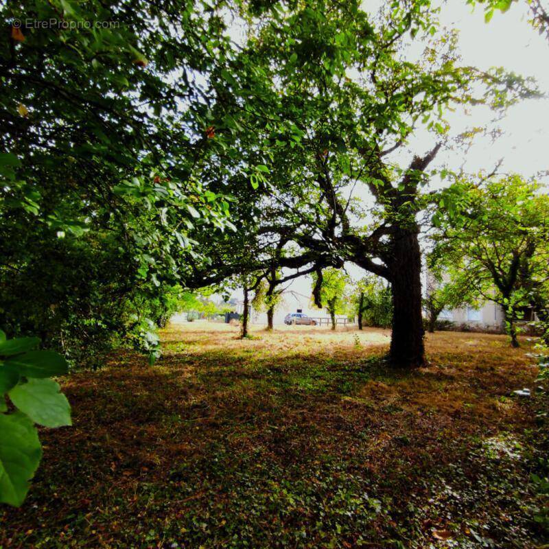 Terrain à SAINT-JULIEN-L'ARS