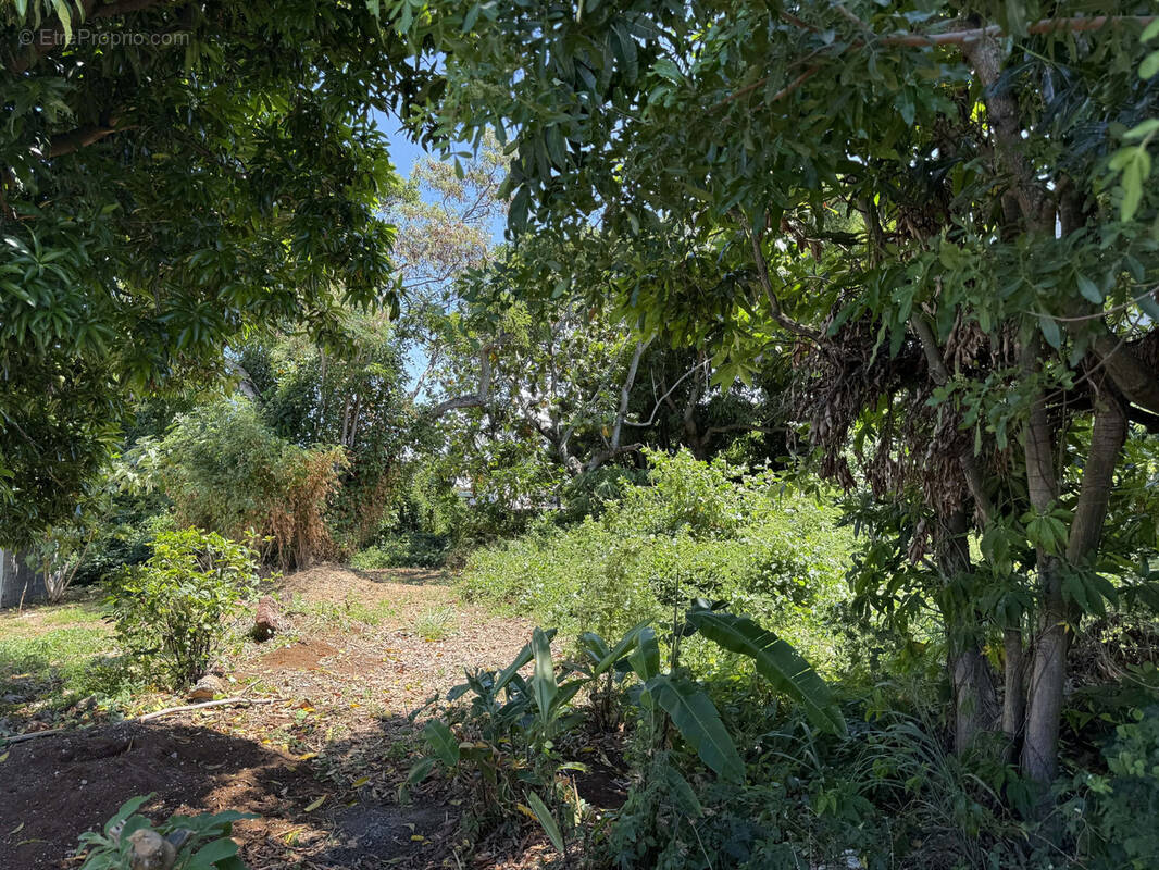 Terrain à SAINT-PIERRE