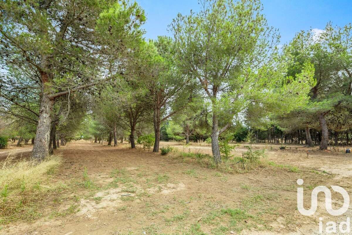 Photo 8 - Maison à CLAIRA