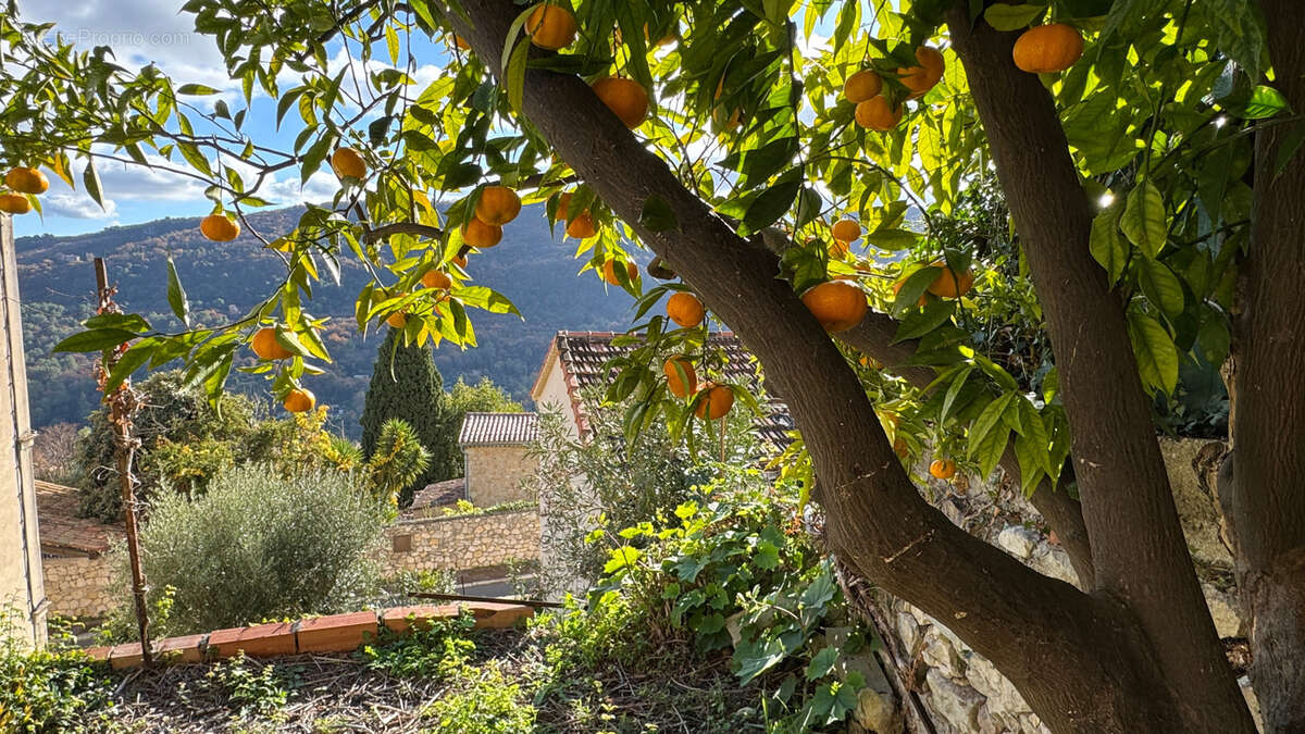 Maison à LE BAR-SUR-LOUP