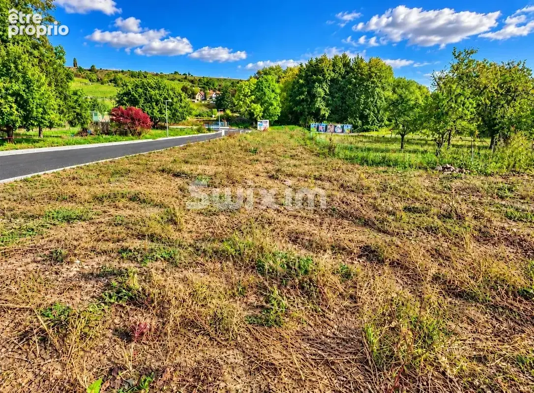 ORSCHWIHR – Terrain constructible de 12,90 ares – Projet résidentiel - photo 3