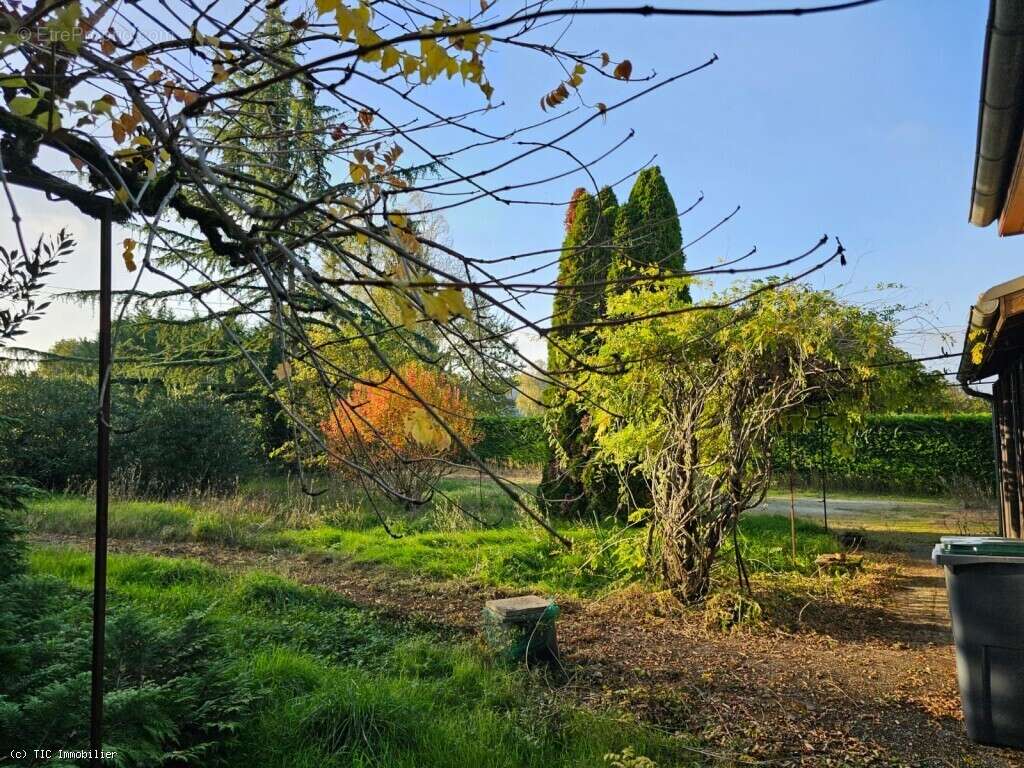 Maison à VERTEUIL-SUR-CHARENTE