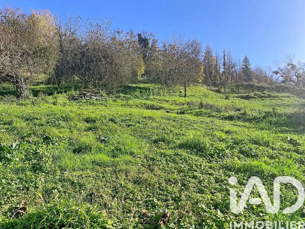 Photo 1 - Terrain à MONEIN