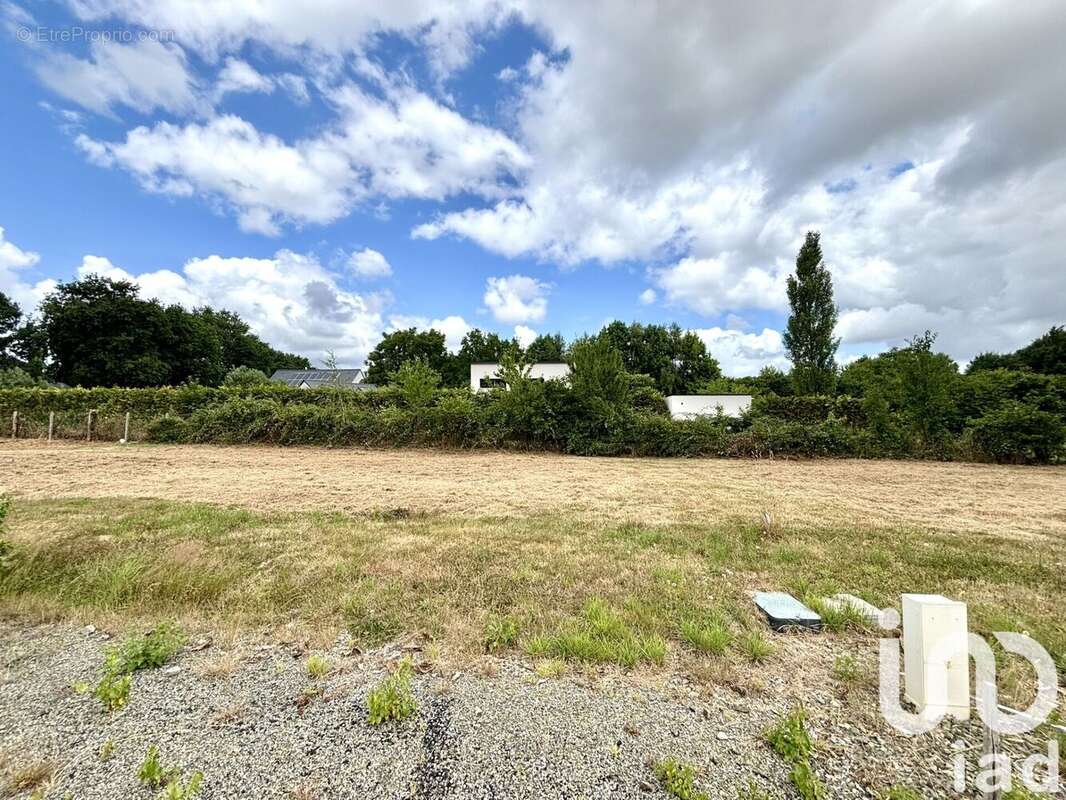 Photo 3 - Terrain à CESSON-SEVIGNE
