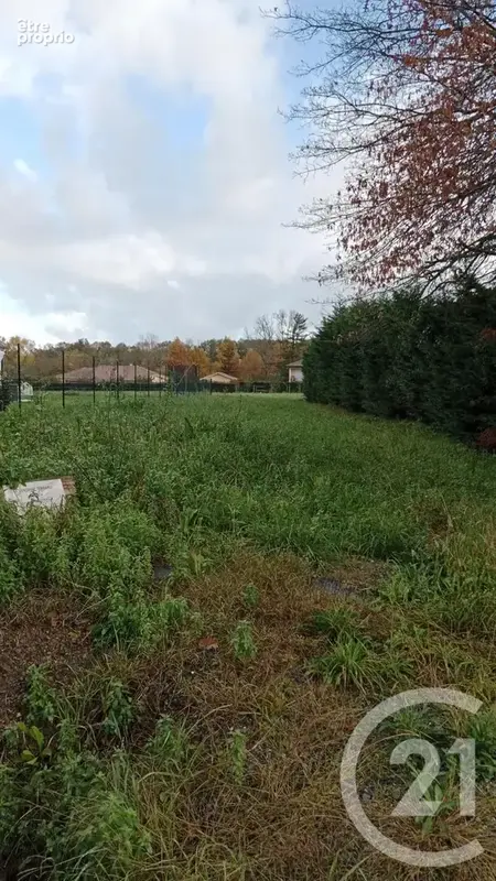 Terrain 1 650 m² à vendre à Sault-De-Navailles (64300) - photo 2