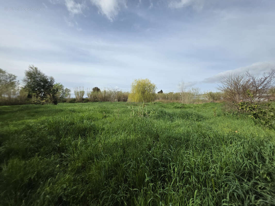 Terrain à VILLELONGUE-DE-LA-SALANQUE