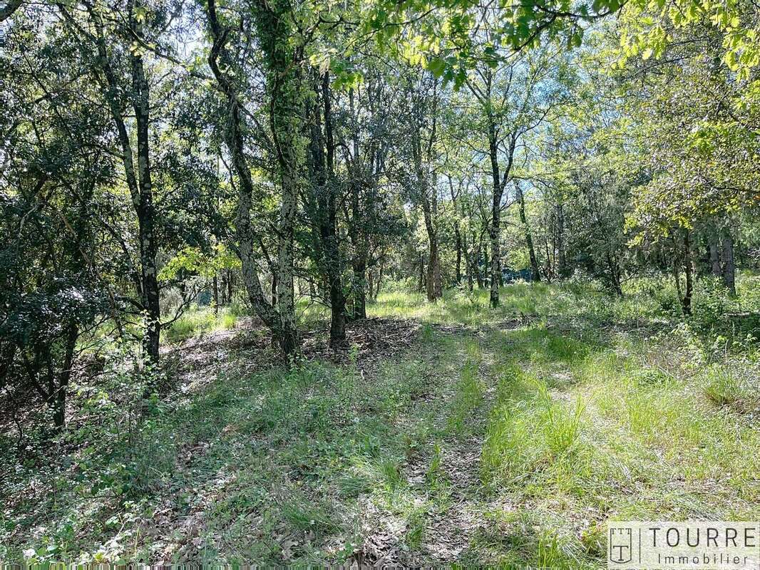 Terrain à LAGORCE