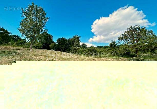 Terrain à CHAMPILLON