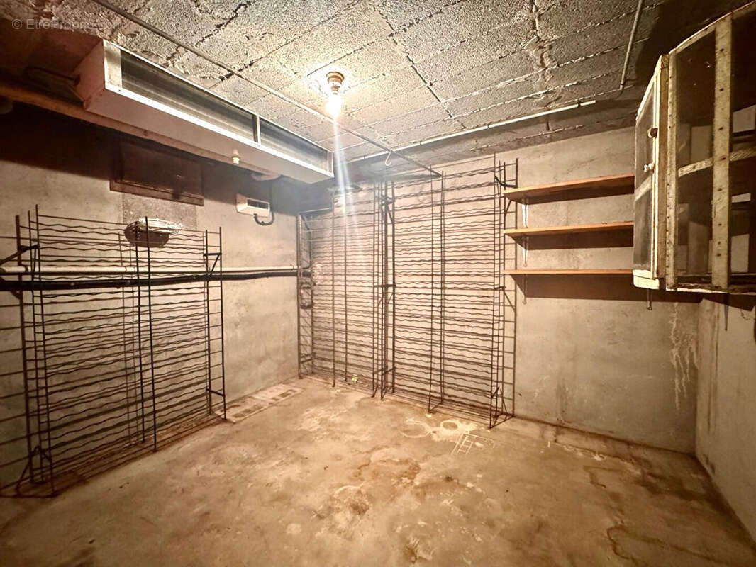 Maison individuelle à vendre 106 m², 3 chambres, sous-sol complet et terrain arboré de 2 000 m² - photo 12