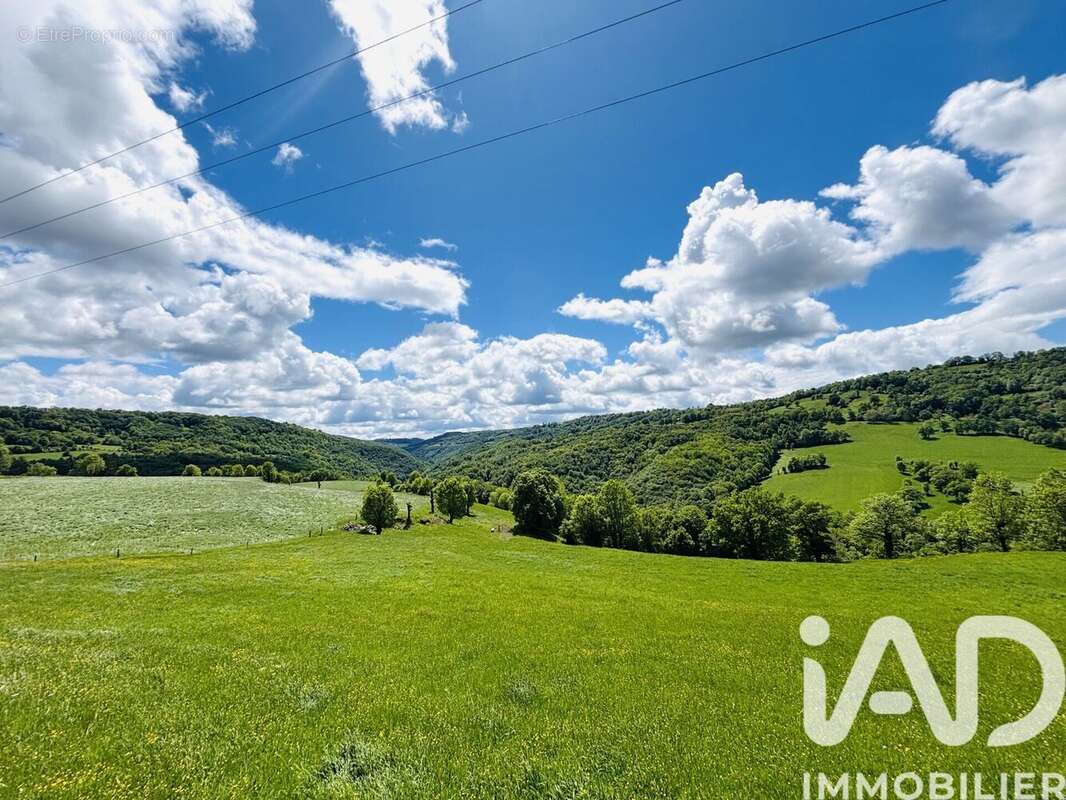 Maison 206 m² à Saint-Martin-Sous-Vigouroux  - photo 4