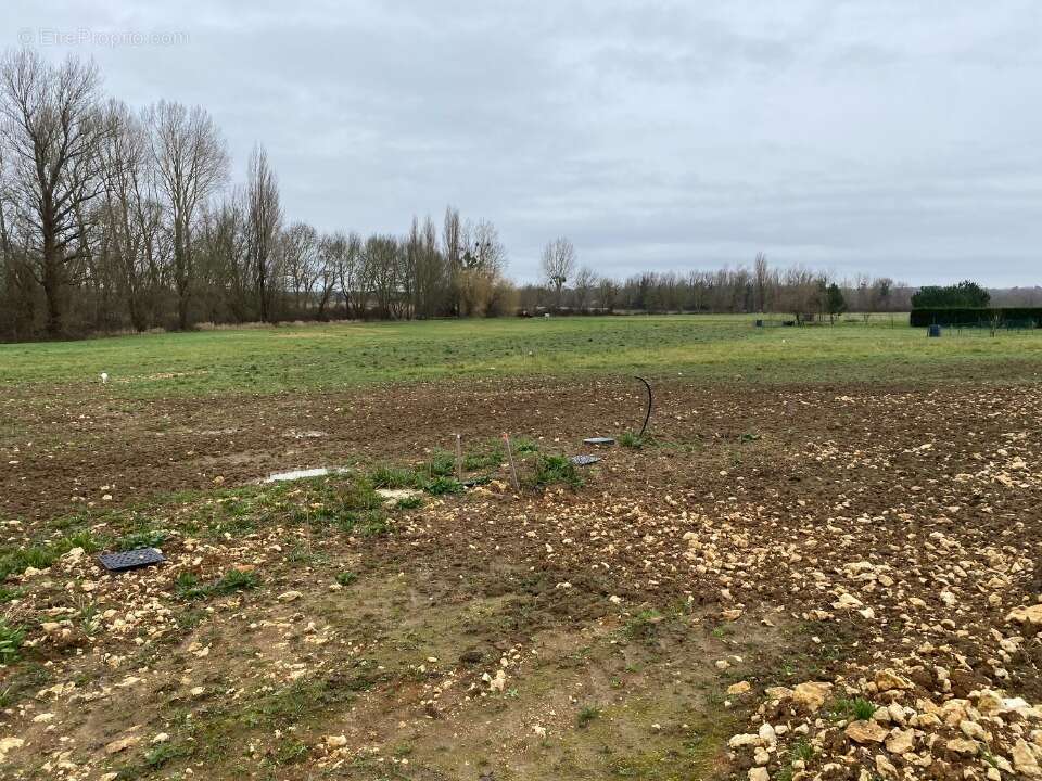 Terrain 780 m² à Genouille  - photo 2