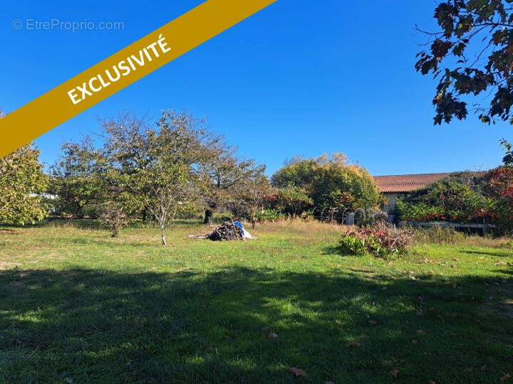 Terrain à SAINT-MACAIRE