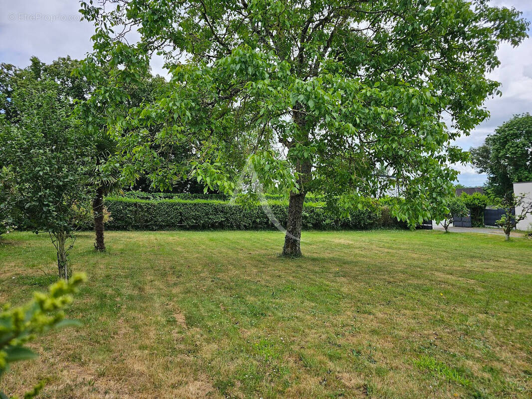 Terrain à BRIOLLAY