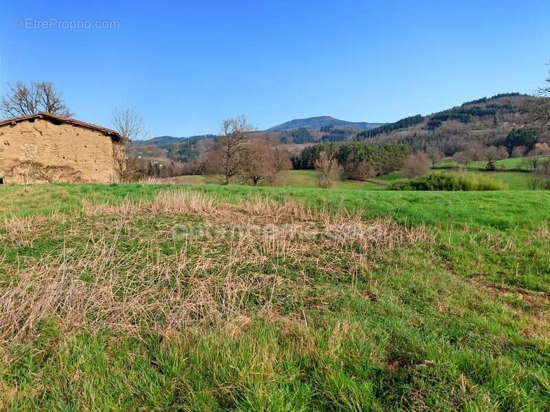 Terrain à AUGEROLLES