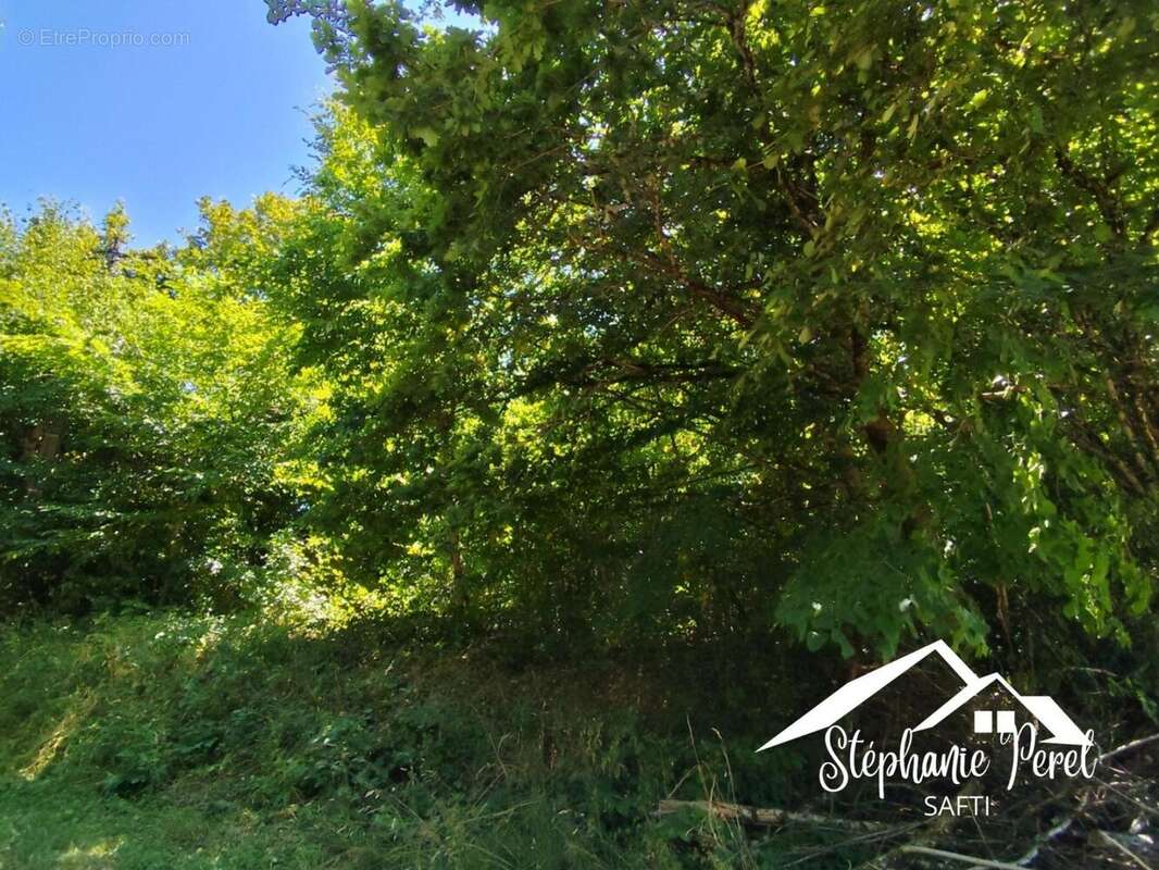 Photo 3 - Terrain à NEUVIC