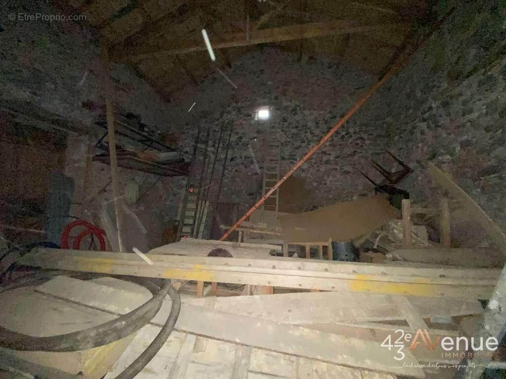 Maison à ROCHE-EN-REGNIER