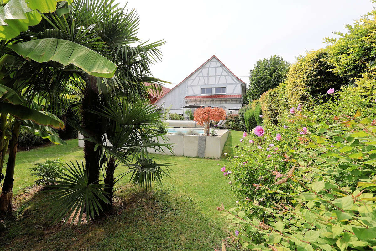 Maison à MAGSTATT-LE-HAUT