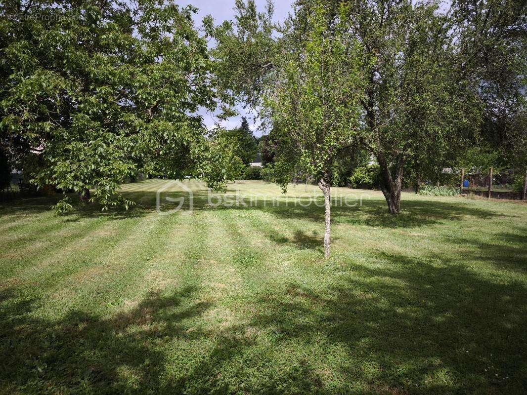 Terrain à LA BUSSIERE