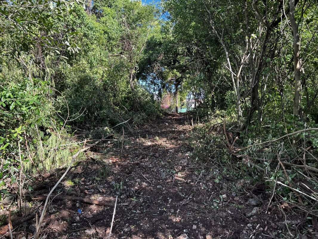 Terrain à SAINTE-ANNE