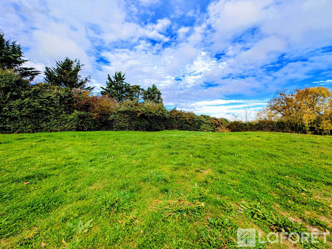 Terrain à CHEMILLE