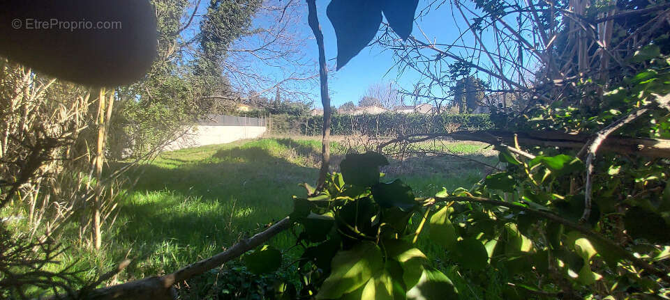Terrain 600 m² à L'isle-Sur-La-Sorgue  - photo 5