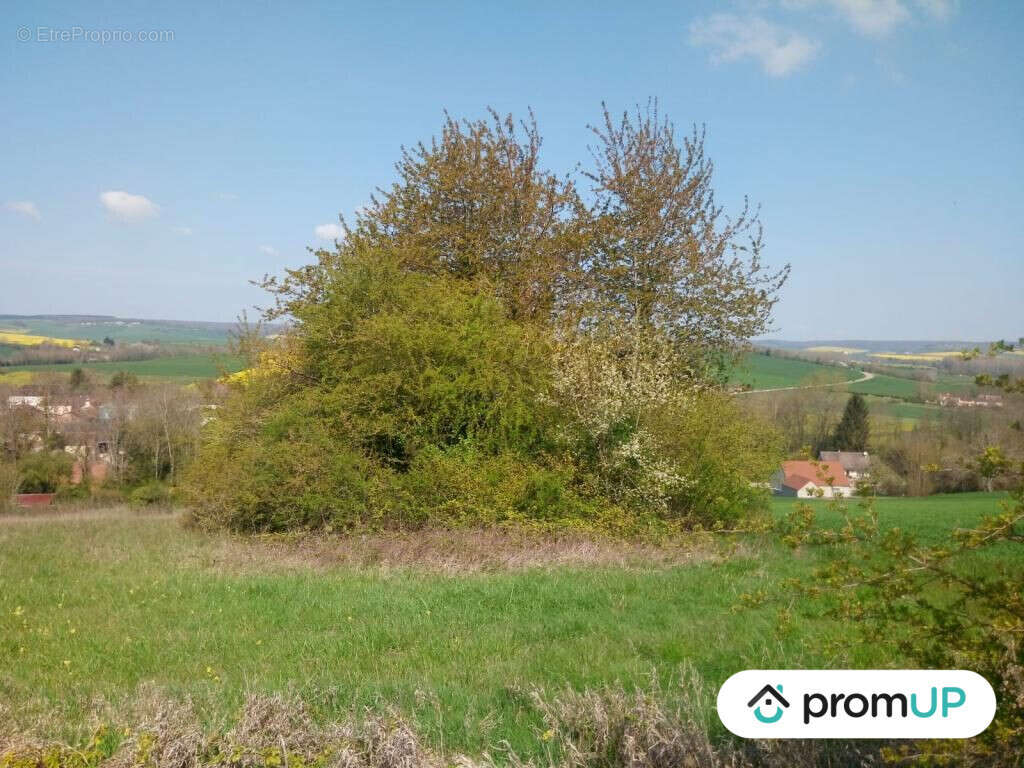 Terrain à VENIZY