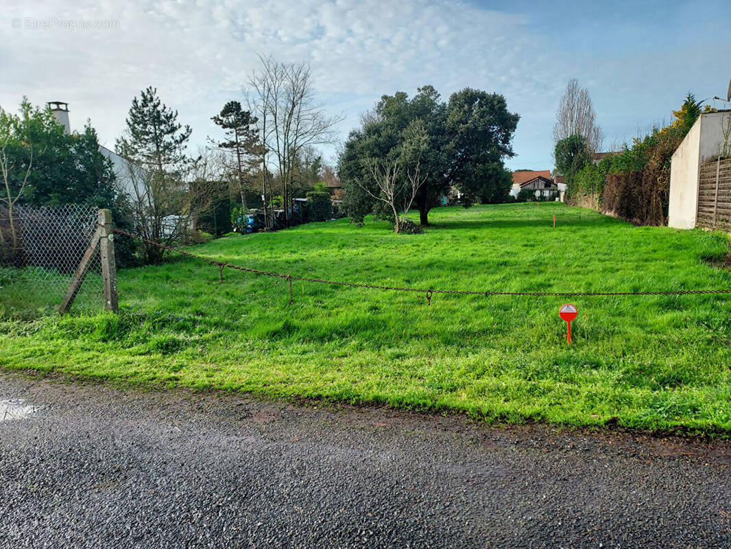 Terrain à LE CHATEAU-D'OLERON