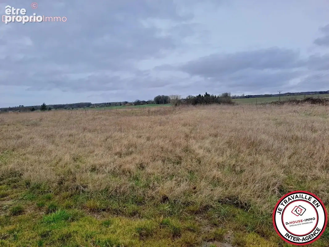 Terrain 7 500 m² à vendre à Luynes (37230) - photo 13