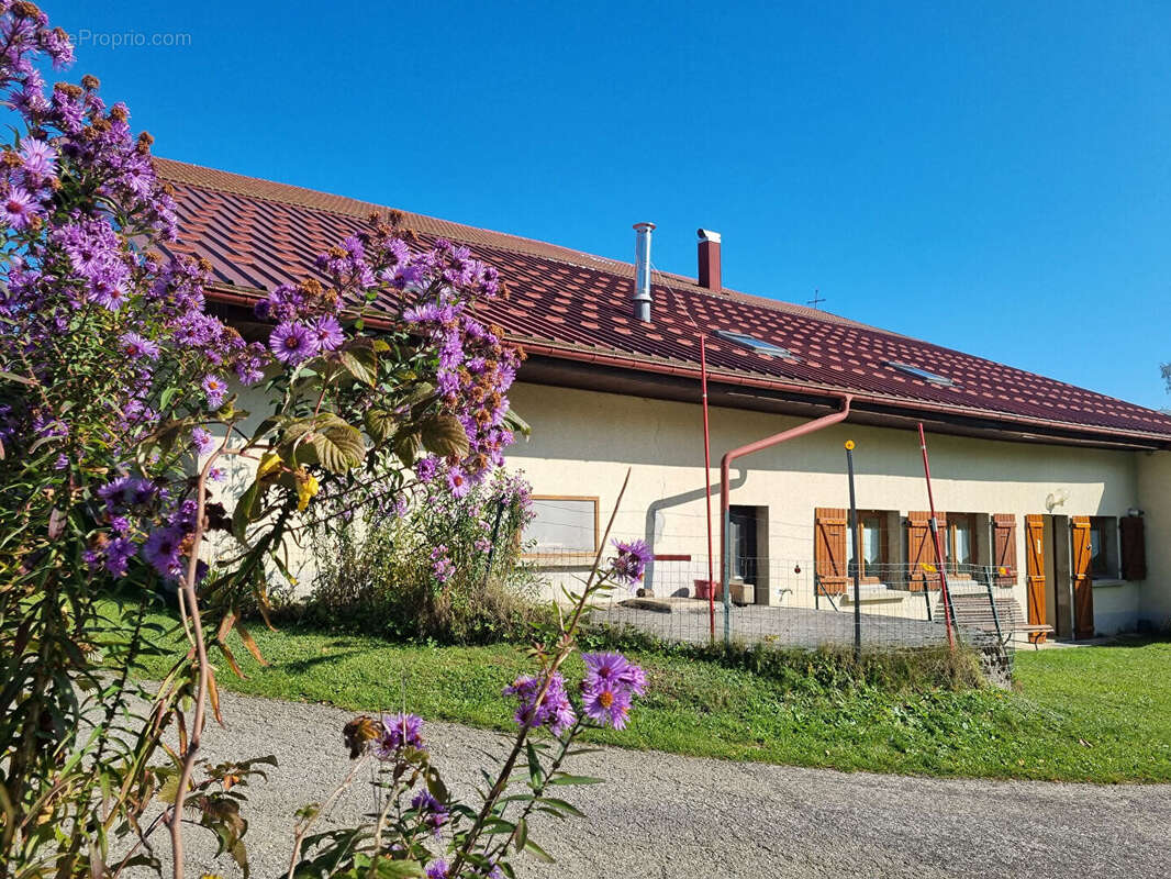 Ferme mitoyenne - LES ARCES  171.24 m2 - photo 2